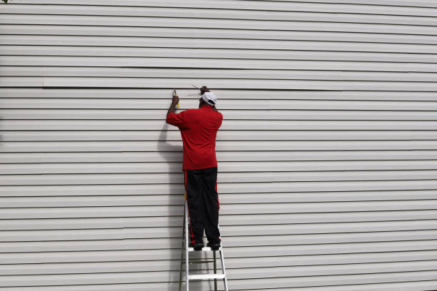 Best Fascia and Soffit Installation  in Temple Terrace, FL